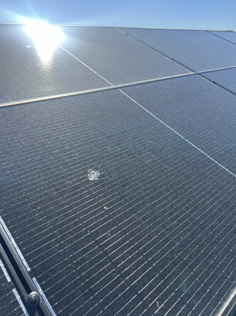 Person cleaning solar panels installed on a shingled rooftop under a clear blue sky.