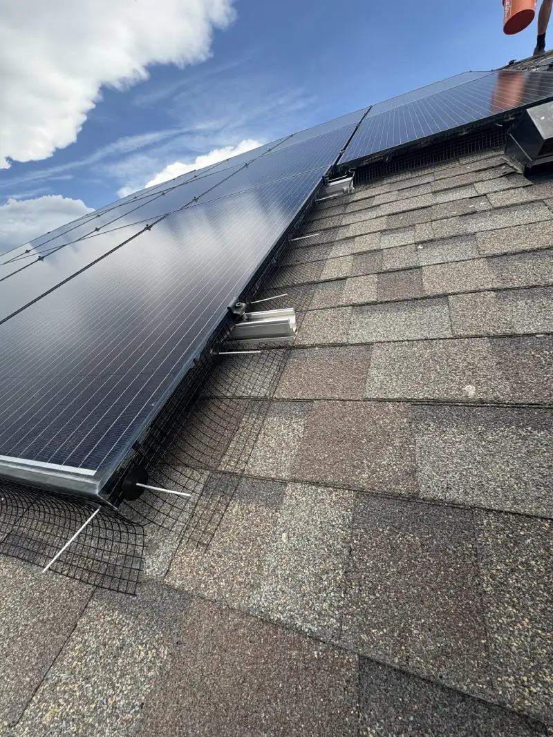 Solar panels installed on a shingled roof with bird deterrent mesh underneath the panels on a partly cloudy day.