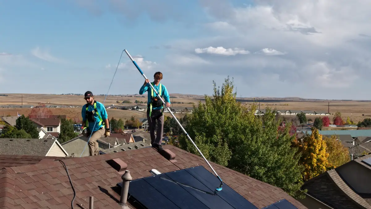 Two workers on a roof cleaning solar panels with brushes attached to long poles.
